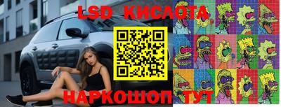 гидра Уссурийск