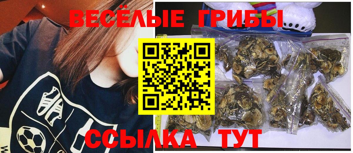 Псилоцибиновые грибы ЛСД Минеральные Воды