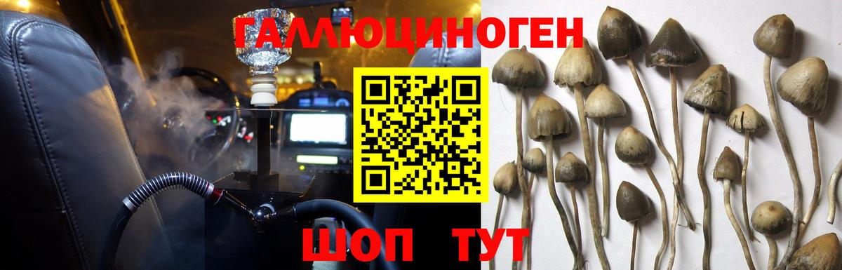 Галлюциногенные грибы Magic Shrooms  Вход с VPN  Минеральные Воды 