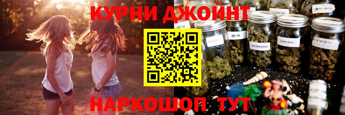 Конопля сатива  Вход с VPN  Марихуана конопля  Конопля OG Kush  Минеральные Воды 
